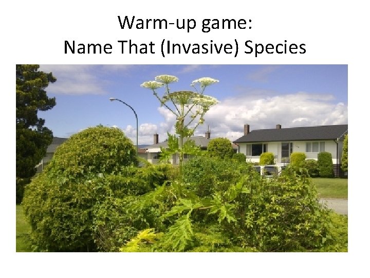 Warm-up game: Name That (Invasive) Species 