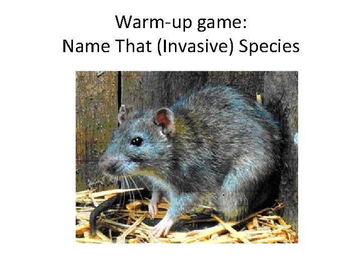 Warm-up game: Name That (Invasive) Species 