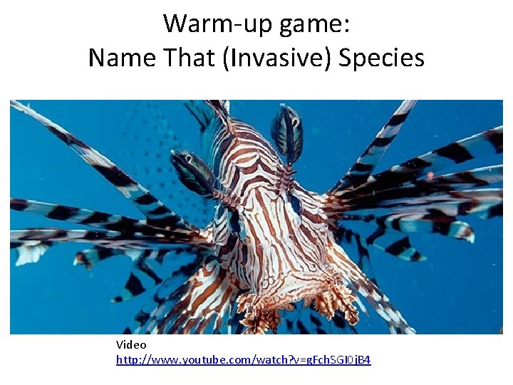 Warm-up game: Name That (Invasive) Species Video http: //www. youtube. com/watch? v=g. Fch. SGI