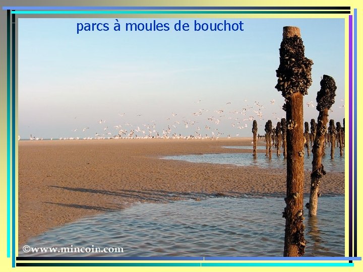 parcs à moules de bouchot 