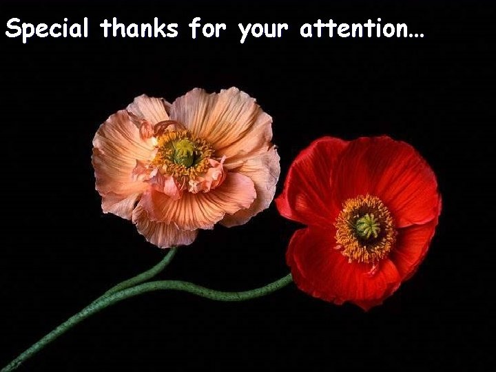 Special thanks for your attention… 