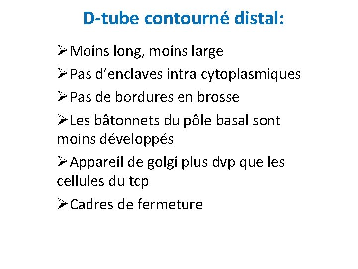 D-tube contourné distal: ØMoins long, moins large ØPas d’enclaves intra cytoplasmiques ØPas de bordures