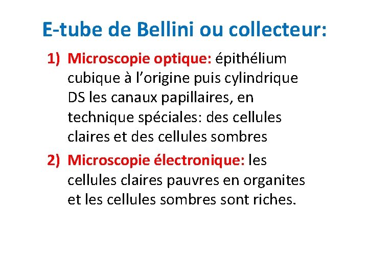 E-tube de Bellini ou collecteur: 1) Microscopie optique: épithélium cubique à l’origine puis cylindrique