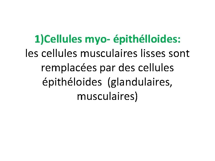 1)Cellules myo- épithélloides: les cellules musculaires lisses sont remplacées par des cellules épithéloides (glandulaires,