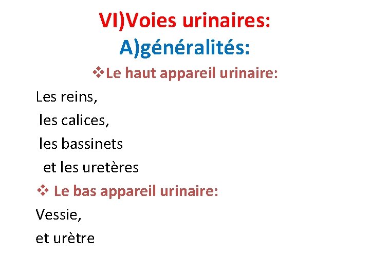 VI)Voies urinaires: A)généralités: v. Le haut appareil urinaire: Les reins, les calices, les bassinets