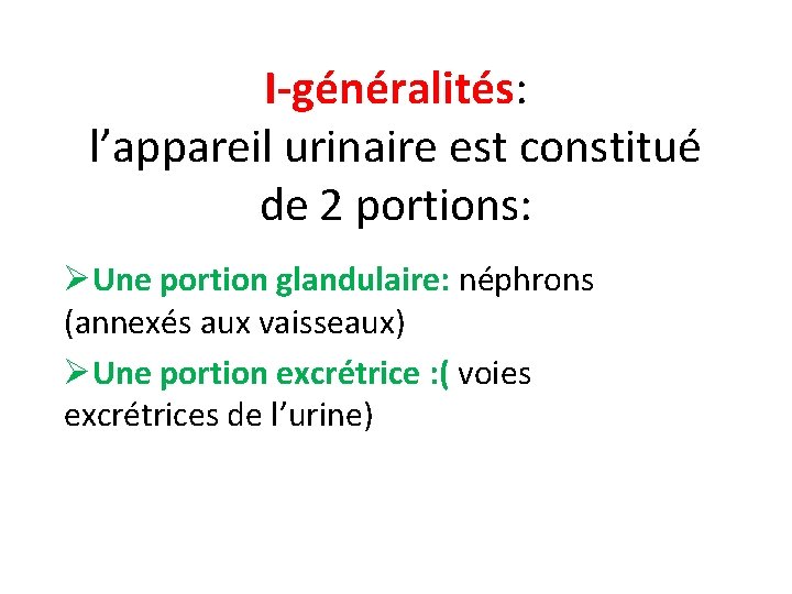 I-généralités: l’appareil urinaire est constitué de 2 portions: ØUne portion glandulaire: néphrons (annexés aux