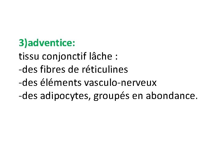 3)adventice: tissu conjonctif lâche : -des fibres de réticulines -des éléments vasculo-nerveux -des adipocytes,