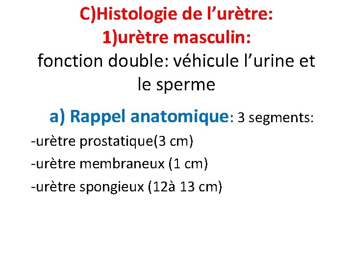 C)Histologie de l’urètre: 1)urètre masculin: fonction double: véhicule l’urine et le sperme a) Rappel