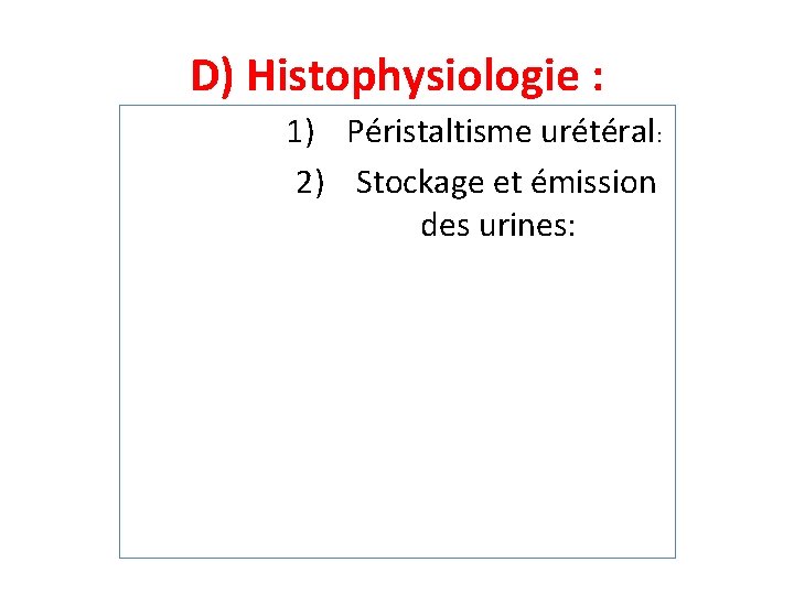 D) Histophysiologie : 1) Péristaltisme urétéral: 2) Stockage et émission des urines: 