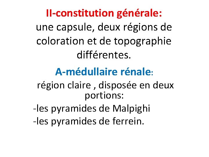 II-constitution générale: une capsule, deux régions de coloration et de topographie différentes. A-médullaire rénale: