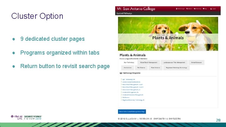 Cluster Option ● 9 dedicated cluster pages ● Programs organized within tabs ● Return