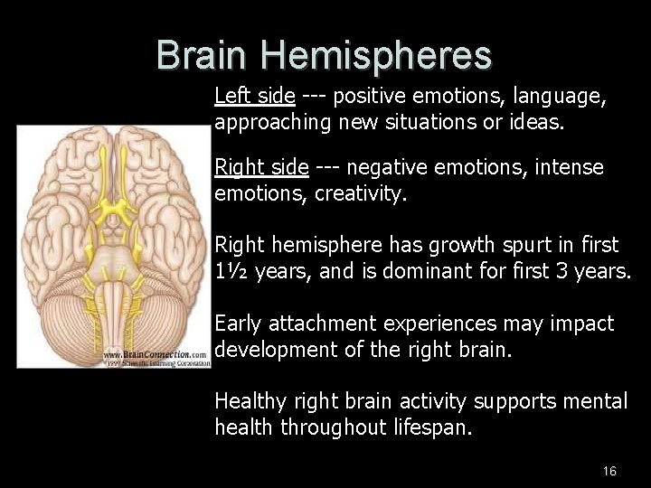 Brain Hemispheres Left side --- positive emotions, language, approaching new situations or ideas. Right