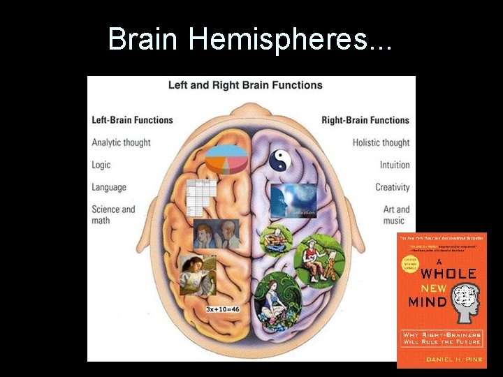 Brain Hemispheres. . . 