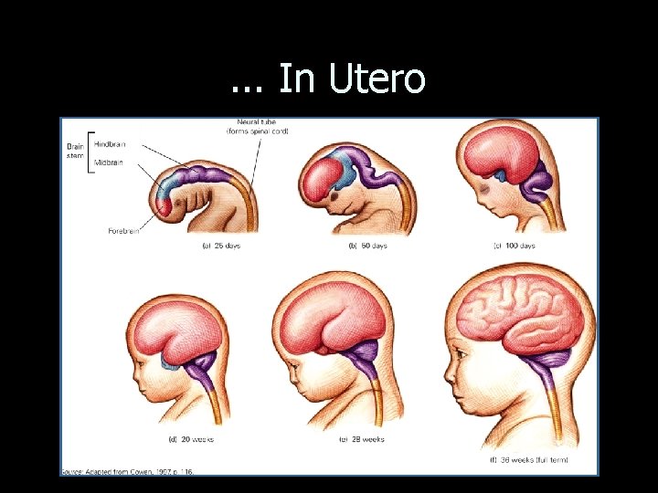 . . . In Utero 