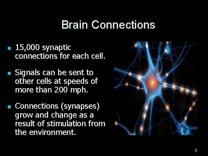 Brain Connections n n n 15, 000 synaptic connections for each cell. Signals can