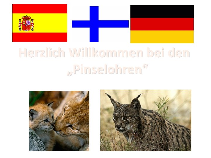 Herzlich Willkommen bei den „Pinselohren“ 