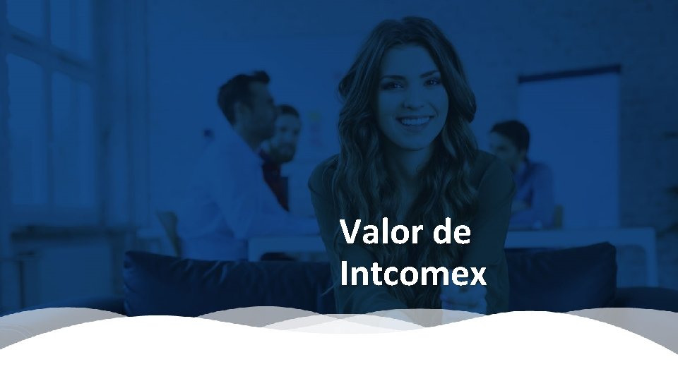 Valor de Intcomex 