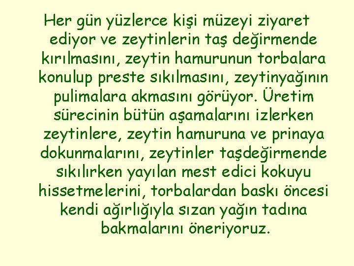 Her gün yüzlerce kişi müzeyi ziyaret ediyor ve zeytinlerin taş değirmende kırılmasını, zeytin hamurunun