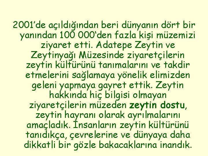 2001’de açıldığından beri dünyanın dört bir yanından 100 000‘den fazla kişi müzemizi ziyaret etti.