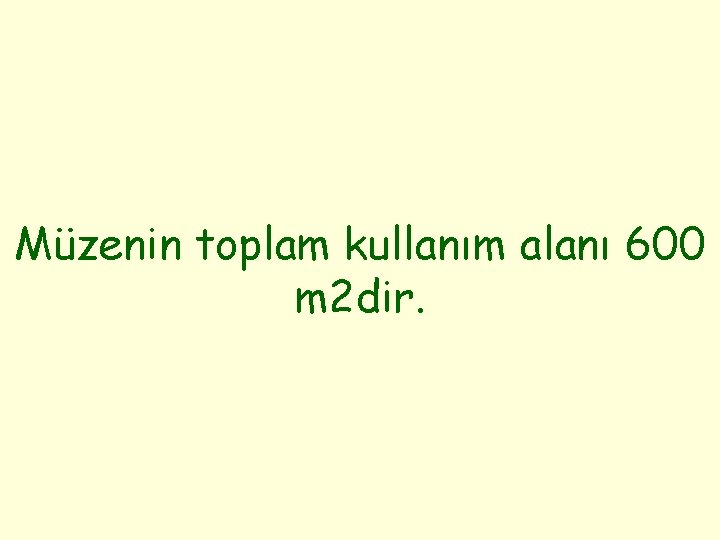 Müzenin toplam kullanım alanı 600 m 2 dir. 