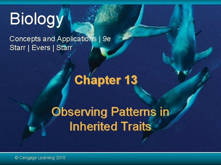 Biology Concepts and Applications | 9 e Starr | Evers | Starr Chapter 13