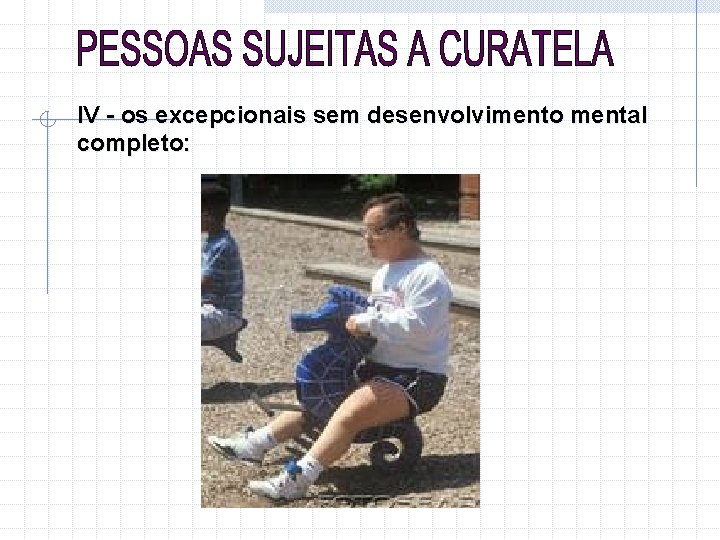 IV - os excepcionais sem desenvolvimento mental completo: 