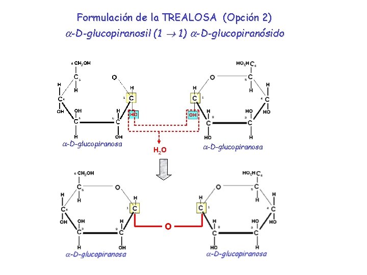 Formulación de la TREALOSA (Opción 2) a-D-glucopiranosil (1 1) a-D-glucopiranósido a-D-glucopiranosa H 2 O