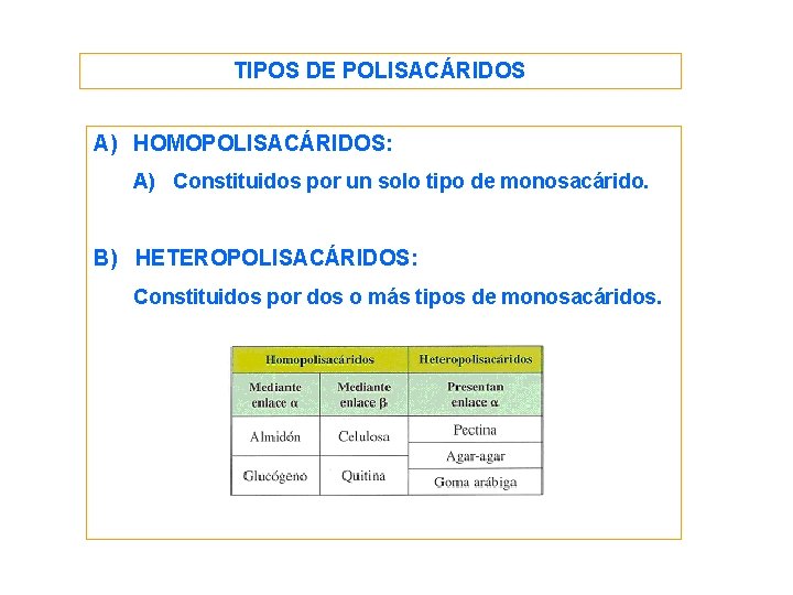 TIPOS DE POLISACÁRIDOS A) HOMOPOLISACÁRIDOS: A) Constituidos por un solo tipo de monosacárido. B)