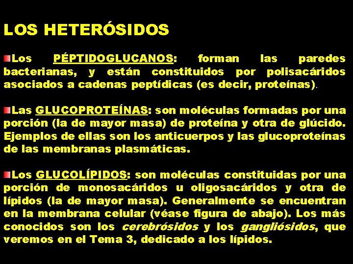 LOS HETERÓSIDOS Los PÉPTIDOGLUCANOS: forman las paredes bacterianas, y están constituidos por polisacáridos asociados
