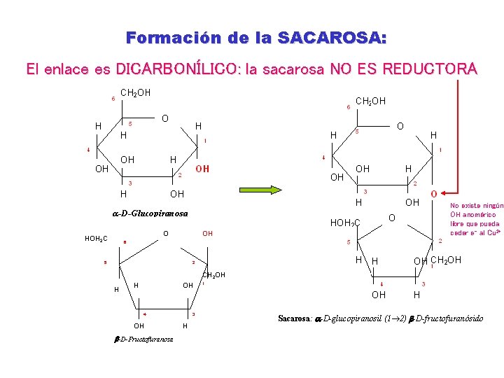 Formación de la SACAROSA: El enlace ¿Qué tipo es DICARBONÍLICO: de enlace se forma?