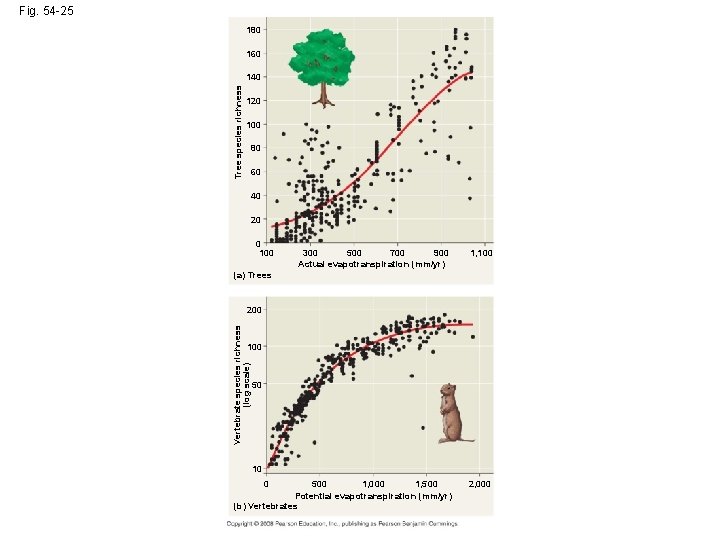 Fig. 54 -25 180 160 Tree species richness 140 120 100 80 60 40