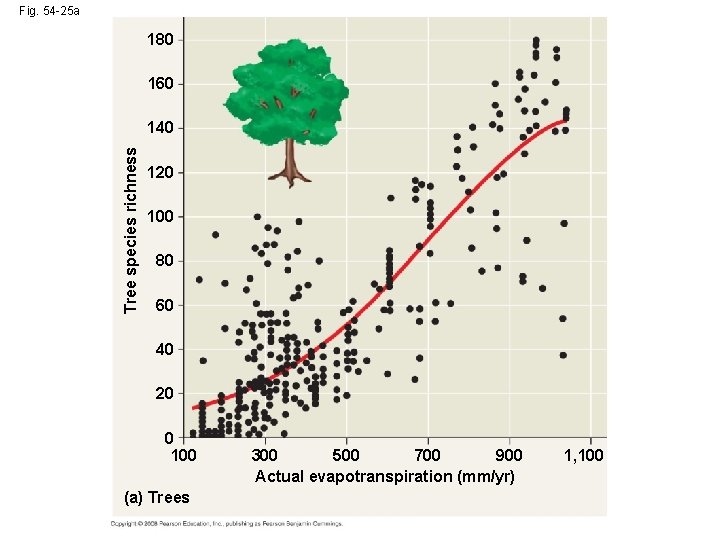 Fig. 54 -25 a 180 160 Tree species richness 140 120 100 80 60