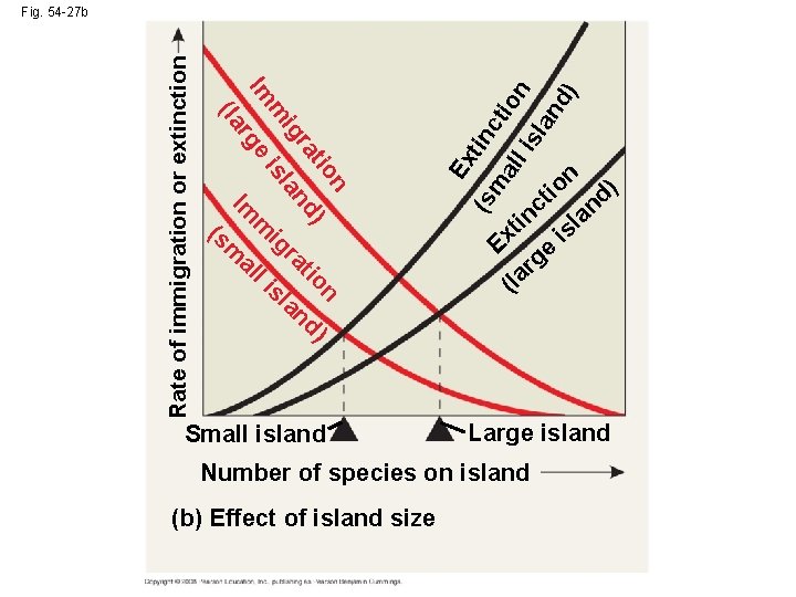 Im (s m al li sl an Ex tin (s ct m i al