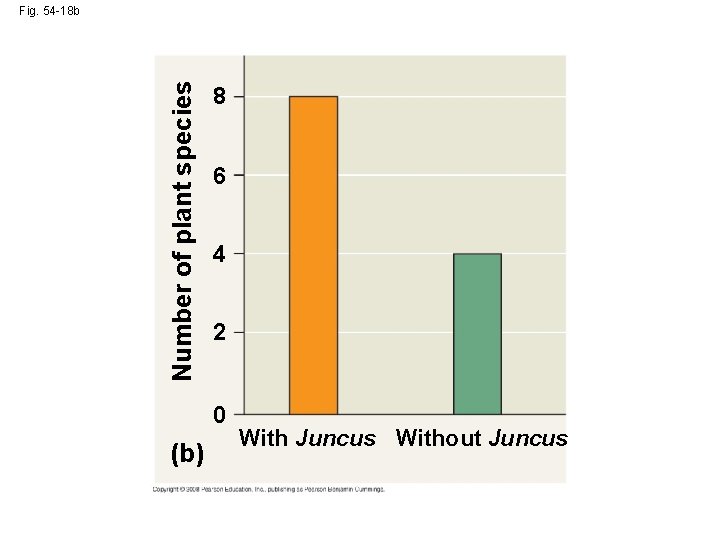 Number of plant species Fig. 54 -18 b 8 6 4 2 0 (b)