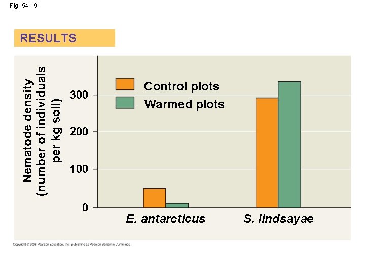 Fig. 54 -19 Nematode density (number of individuals per kg soil) RESULTS 300 Control