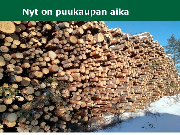 Nyt on puukaupan aika Me teemme metsänomistajan eteen enemmän. Metsänhoitoyhdistykset ja MTK 