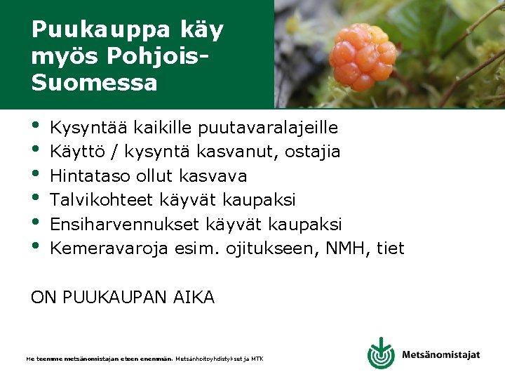 Puukauppa käy myös Pohjois. Suomessa • • • Kysyntää kaikille puutavaralajeille Käyttö / kysyntä