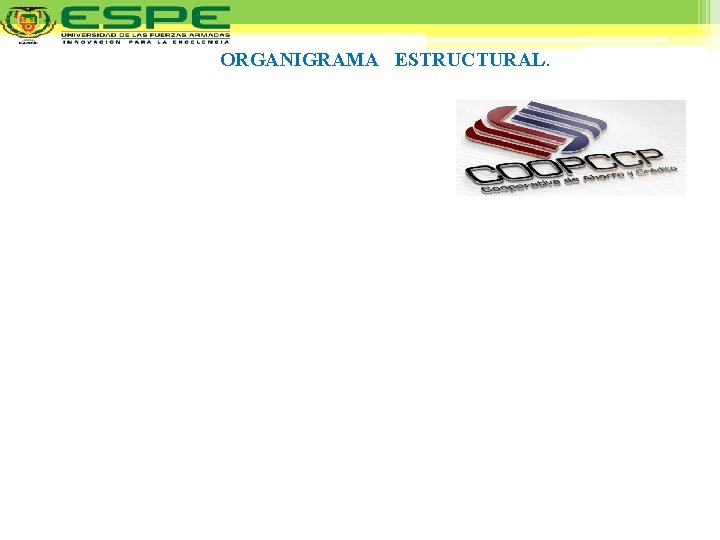 ORGANIGRAMA ESTRUCTURAL. 