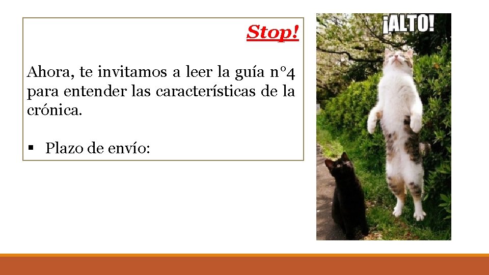 Stop! Ahora, te invitamos a leer la guía n° 4 para entender las características Stop! Ahora, te invitamos a leer la guía n° 4 para entender las características