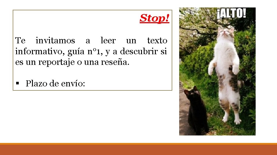 Stop! Te invitamos a leer un texto informativo, guía n° 1, y a descubrir Stop! Te invitamos a leer un texto informativo, guía n° 1, y a descubrir