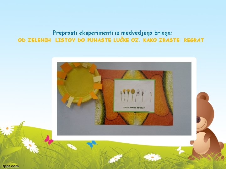 Preprosti eksperimenti iz medvedjega brloga: OD ZELENIH LISTOV DO PUHASTE LUČKE OZ. KAKO ZRASTE
