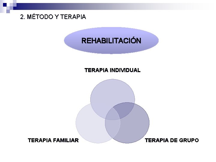 2. MÉTODO Y TERAPIA REHABILITACIÓN TERAPIA INDIVIDUAL TERAPIA FAMILIAR TERAPIA DE GRUPO 2. MÉTODO Y TERAPIA REHABILITACIÓN TERAPIA INDIVIDUAL TERAPIA FAMILIAR TERAPIA DE GRUPO