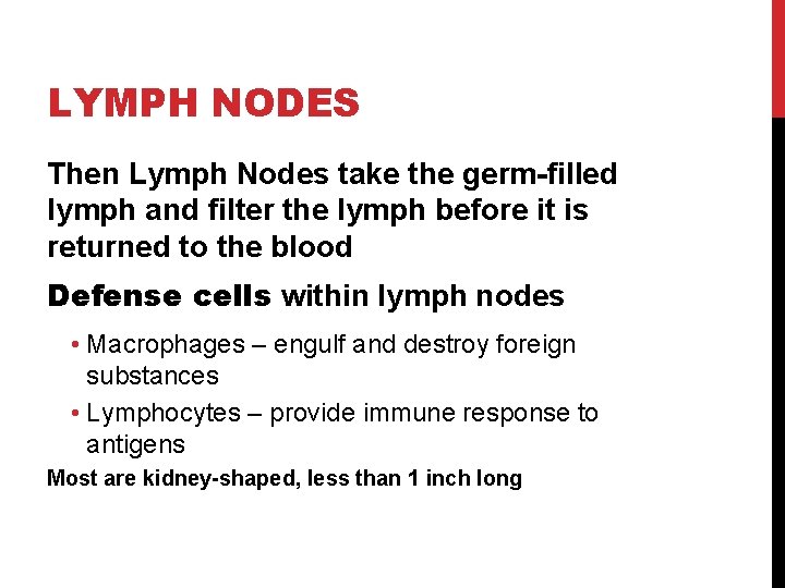 LYMPH NODES Then Lymph Nodes take the germ-filled lymph and filter the lymph before