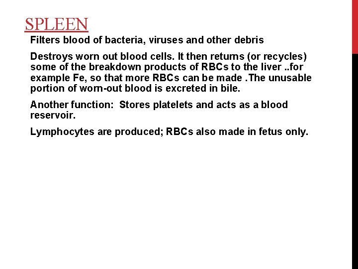 SPLEEN Filters blood of bacteria, viruses and other debris Destroys worn out blood cells.