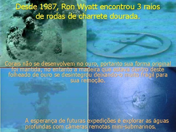 Desde 1987, Ron Wyatt encontrou 3 raios de rodas de charrete dourada. Corais não Desde 1987, Ron Wyatt encontrou 3 raios de rodas de charrete dourada. Corais não