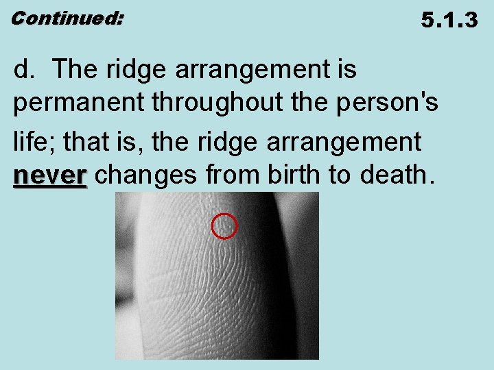 Continued: 5. 1. 3 d. The ridge arrangement is permanent throughout the person's life;