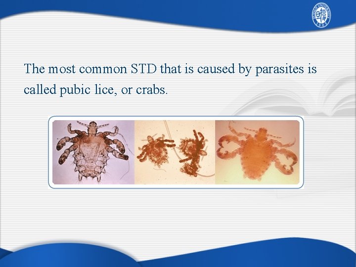 The most common STD that is caused by parasites is called pubic lice, or