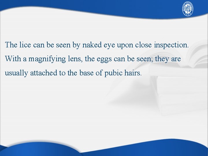 The lice can be seen by naked eye upon close inspection. With a magnifying