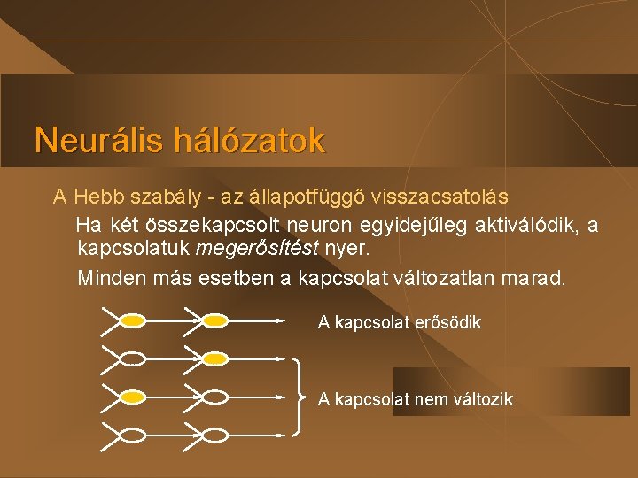 Neurális hálózatok A Hebb szabály - az állapotfüggő visszacsatolás Ha két összekapcsolt neuron egyidejűleg