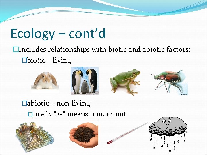 Ecology – cont’d �Includes relationships with biotic and abiotic factors: �biotic – living �abiotic